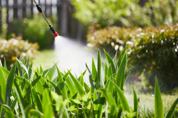 24/7 Emergency Cockroach Control experts in Schererville, IN