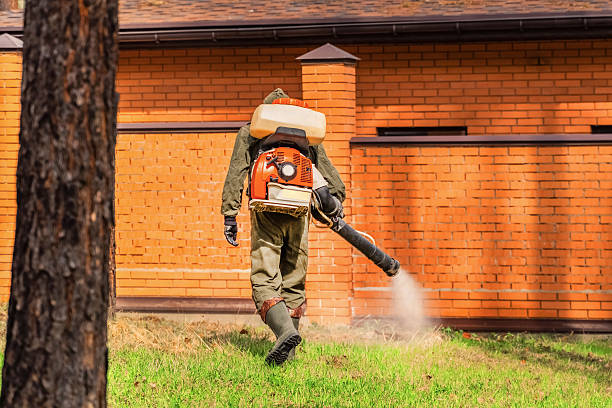 Trusted Cockroach Control service in Schererville, IN - Nex Pest Control